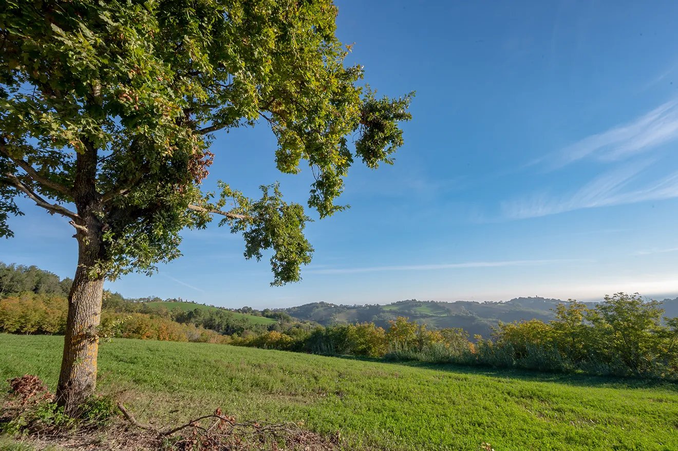 esterni-villa-ai-caprioli-18