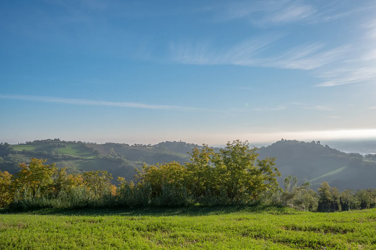 esterni-villa-ai-caprioli-19